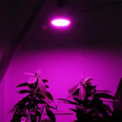 M030F (ALEJA1)  LAMPA PANEL 200 LED DO UPRAWY ROŚLIN 20W WZROSTU -E563