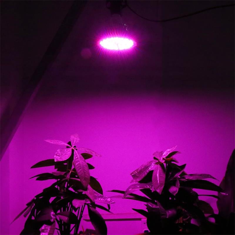 M030F (ALEJA1)  LAMPA PANEL 200 LED DO UPRAWY ROŚLIN 20W WZROSTU -E563