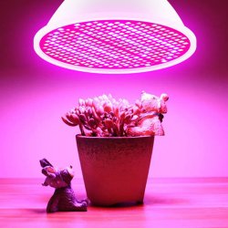 M030F (ALEJA1)  LAMPA PANEL 200 LED DO UPRAWY ROŚLIN 20W WZROSTU -E563