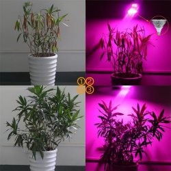 M030F (ALEJA1)  LAMPA PANEL 200 LED DO UPRAWY ROŚLIN 20W WZROSTU -E563