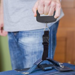 M002F   WAGA BAGAŻOWA HAKOWA WĘDKARSKA RĘCZNA 50 KG -E768