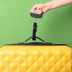 M002F   WAGA BAGAŻOWA HAKOWA WĘDKARSKA RĘCZNA 50 KG -E768