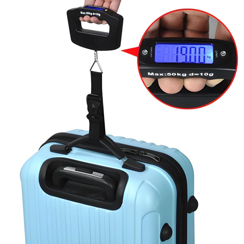 M002F   WAGA BAGAŻOWA HAKOWA WĘDKARSKA RĘCZNA 50 KG -E768